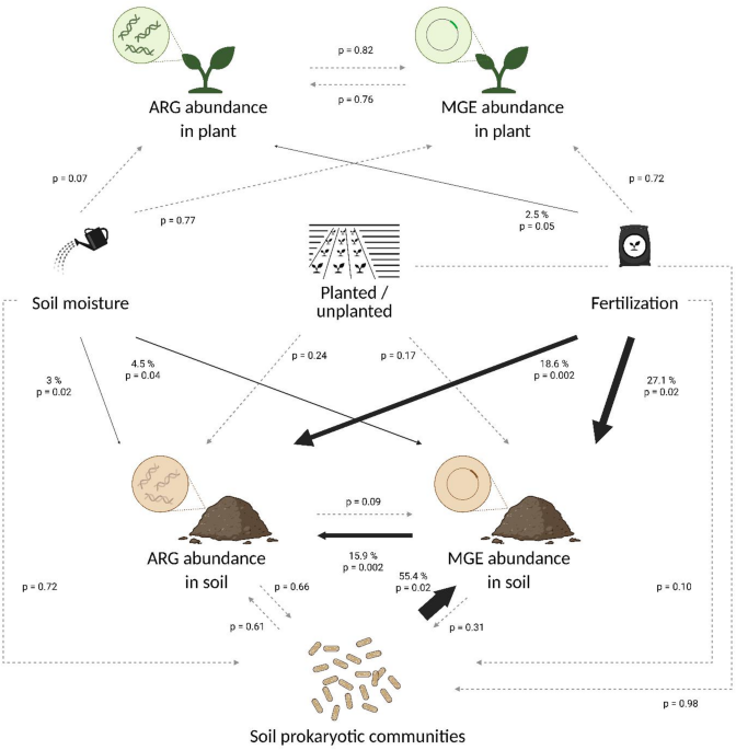 Impacts of drought and manure fertilization on soil and radish resistomes