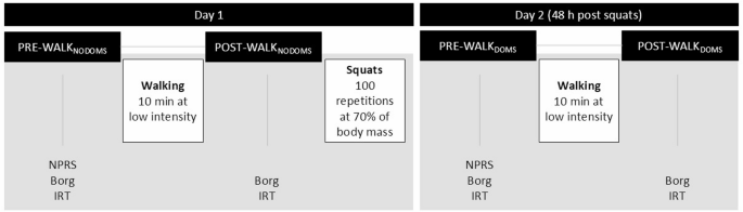 Impact of a low-intensity exercise prior to infrared thermography measurements on skin temperature under conditions of muscle soreness