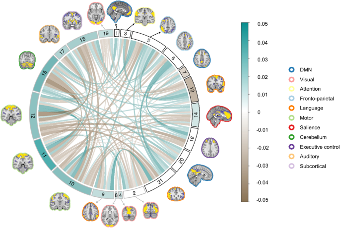 Sociability and whole-brain resting-state connectivity