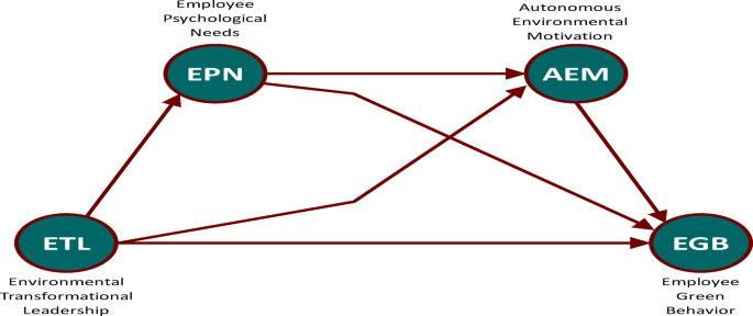 Environmental transformational leadership and employee green behavior through psychological mechanisms