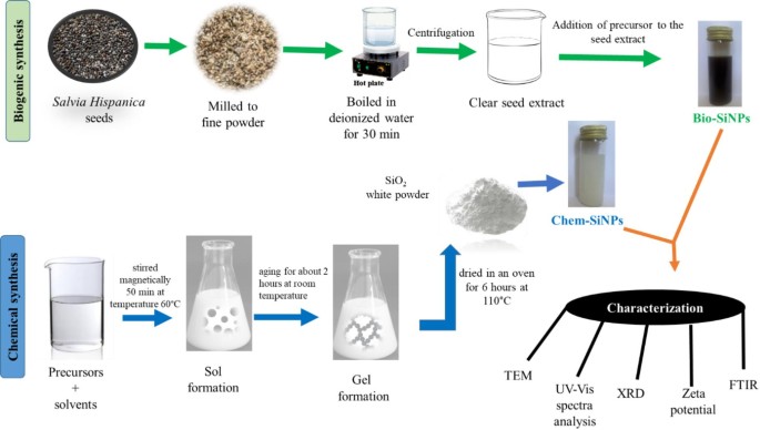 Green synthesis of silica nanoparticles using chia seeds boosts rice germination and physiological responses