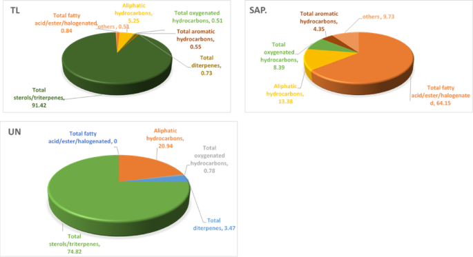 First comprehensive GC–MS profile of Echinops erinaceus with antimicrobial and cytotoxic activities and in-silico model