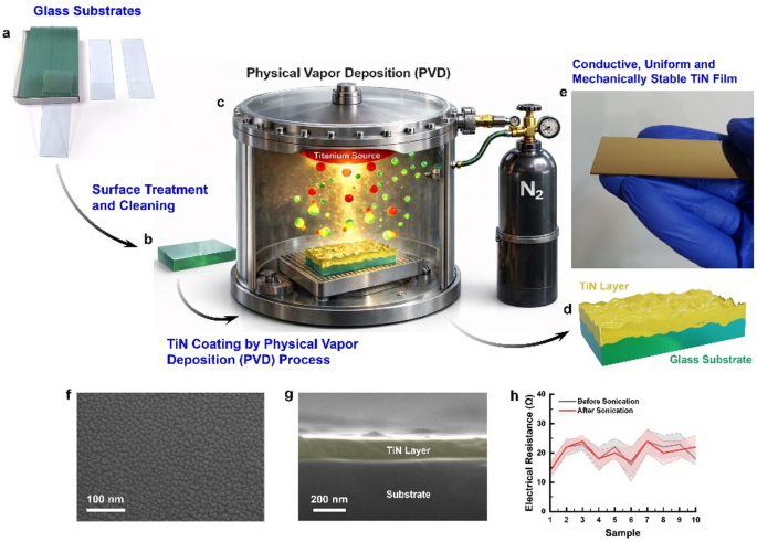 Polydopamine-doped PEDOT interfaces improve cell-electrode interactions and neural signal transmission