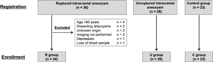 Association of anti SITH 1 antibody titer with mental stress and intracranial aneurysms