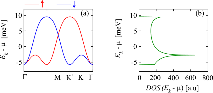 Unconventional superconductivity in the presence of long-range interactions in transition metal dichalcogenide moiré heterobilayers