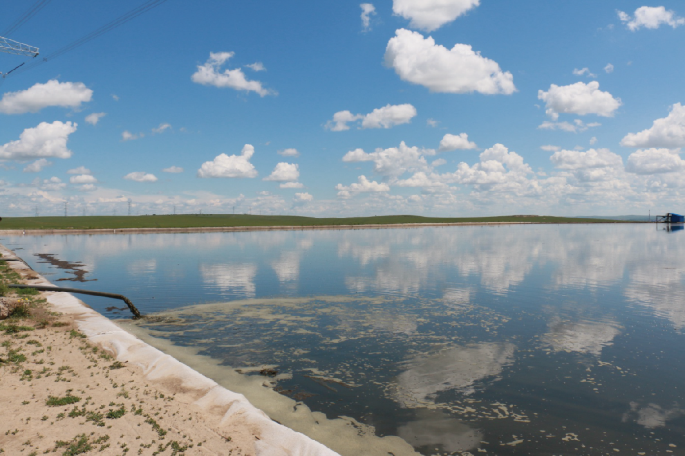 Beyond regenerative grazing | Nature Food