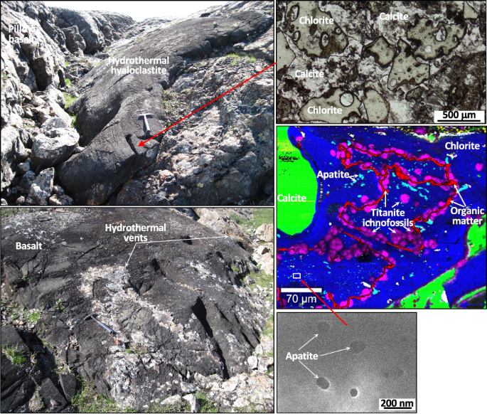 Ichnofossils in volcanic glass from palaeoproterozoic hydrothermal vents were burrowed by microorganisms probably seeking phosphate