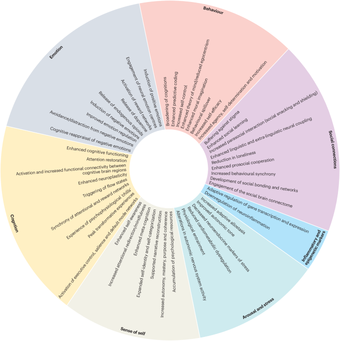 Mechanisms underpinning the mental health impact of arts engagement