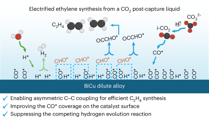 Dilute alloy electrocatalysts enable asymmetric C–C coupling for ethylene production from a CO2 post-capture liquid