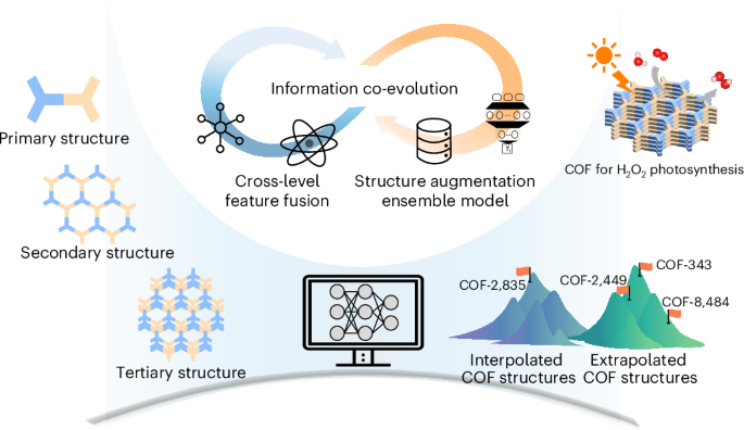 Machine learning-accelerated discovery of covalent organic frameworks for hydrogen peroxide photosynthesis