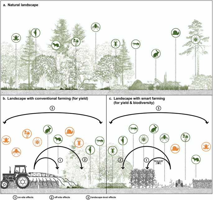 Future agricultural policies need to integrate biodiversity targets into smart farming
