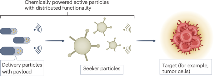 Chemically powered active particle colonies