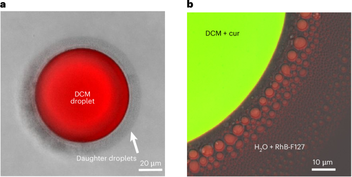 A scalable self-nanoemulsification approach to uniform nanocarriers
