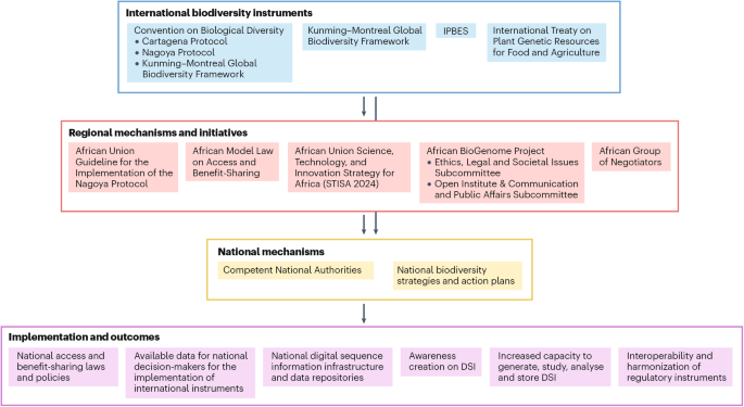 Expanding African biodiversity genomics to meet global biodiversity goals
