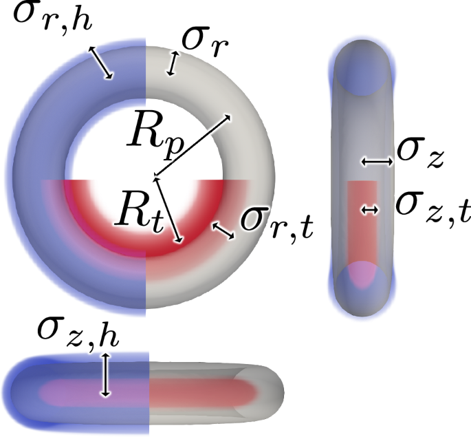Dynamin optimizes protein-membrane interactions for fission