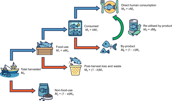 Technology-driven reduction of fish post-harvest loss could enhance food security and economic resilience