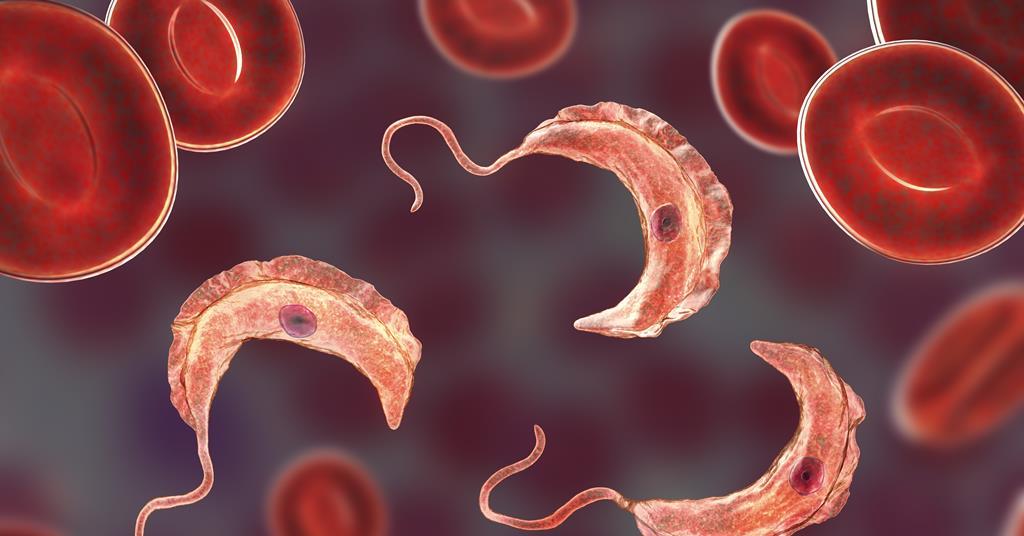 Boron plays a key role in new sleeping sickness drug | Business