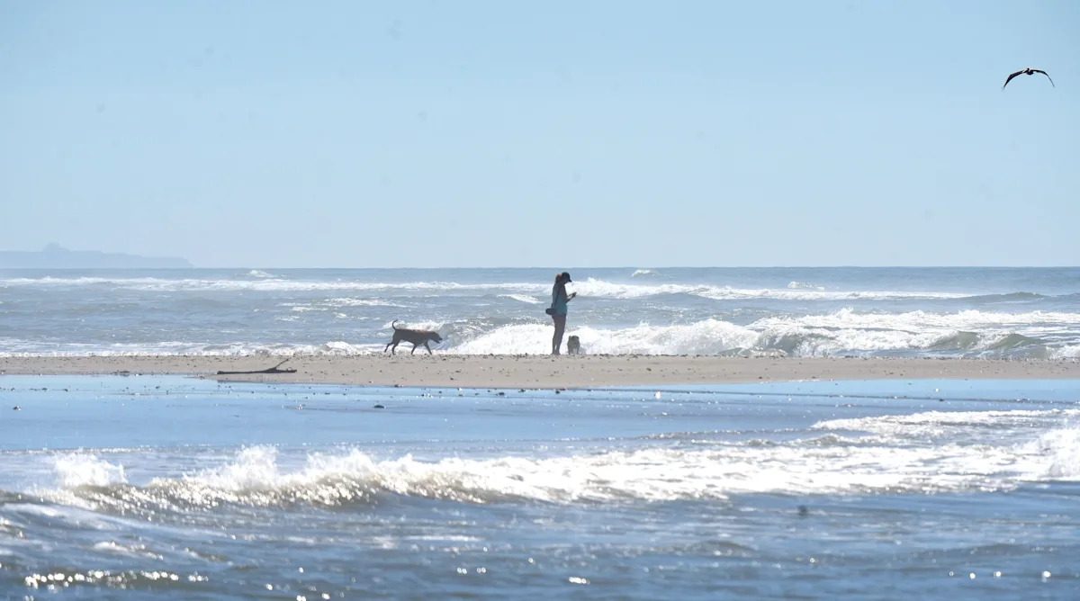 Study calls Ventura County beach Southern California’s fastest growing