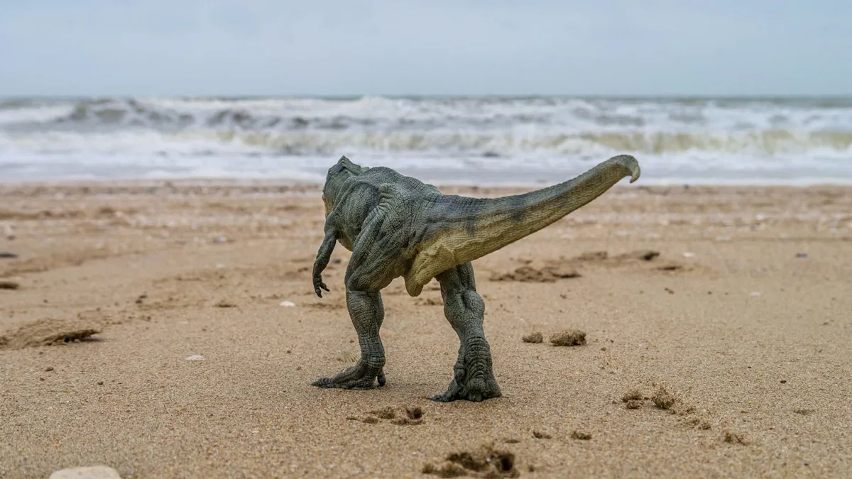 A 10-Year-Old Girl Went for a Walk on the Beach—and Stumbled Upon 5 Dinosaur Footprints