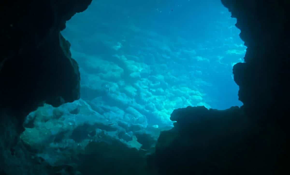 A Japanese Team Found Strange Black Eggs at 6,200 Meters Depth, Here’s What They Discovered Inside When They Opened Them
