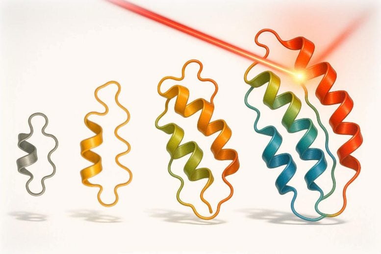 Scientists Use Light To Evolve Proteins That Switch Like Tiny Computers