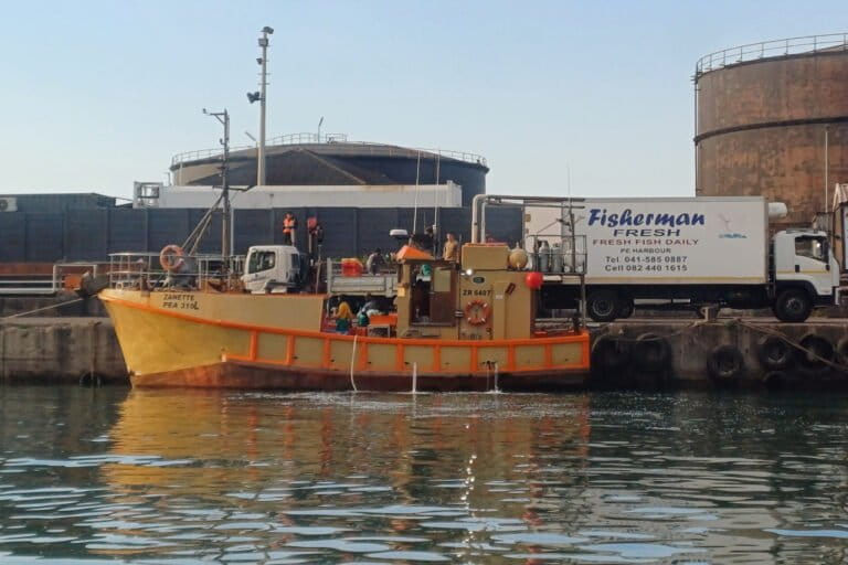 Investigation of permit violations in South Africa’s shark fishery pending