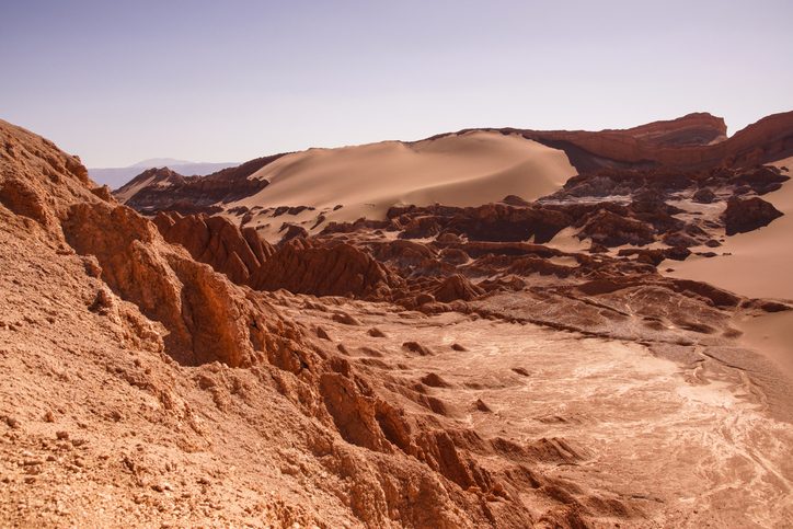 Scientists started digging in one of the world’s driest deserts. What they eventually found was extraordinary