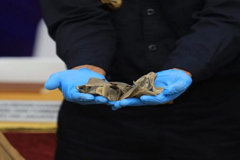 Jakarta port authorities seize 3 tons of pangolin scales in Cambodia-bound container