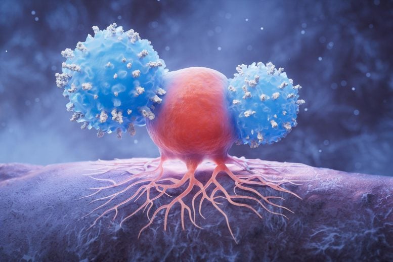 Scientists Discover Genetic Switch That Supercharges Cancer-Killing Immune Cells
