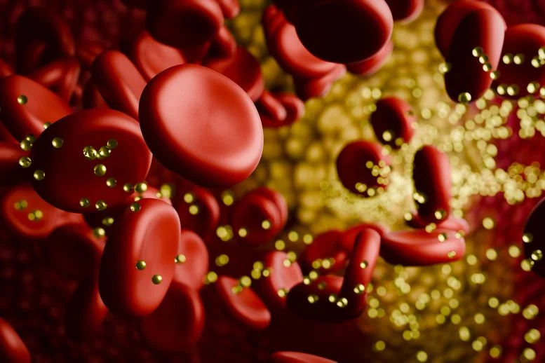 Newly Discovered Protein Could Rewrite How Scientists Treat High Cholesterol