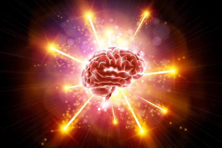 Rethinking Depression: How Brain “Insulation” Cells Might Hold the Key to New Treatments