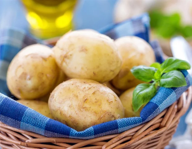 Alginate-enhanced gel improves organoid development