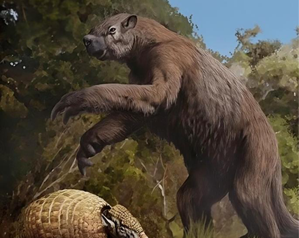 The Giant Sloths and Armadillos of Prehistoric Texas