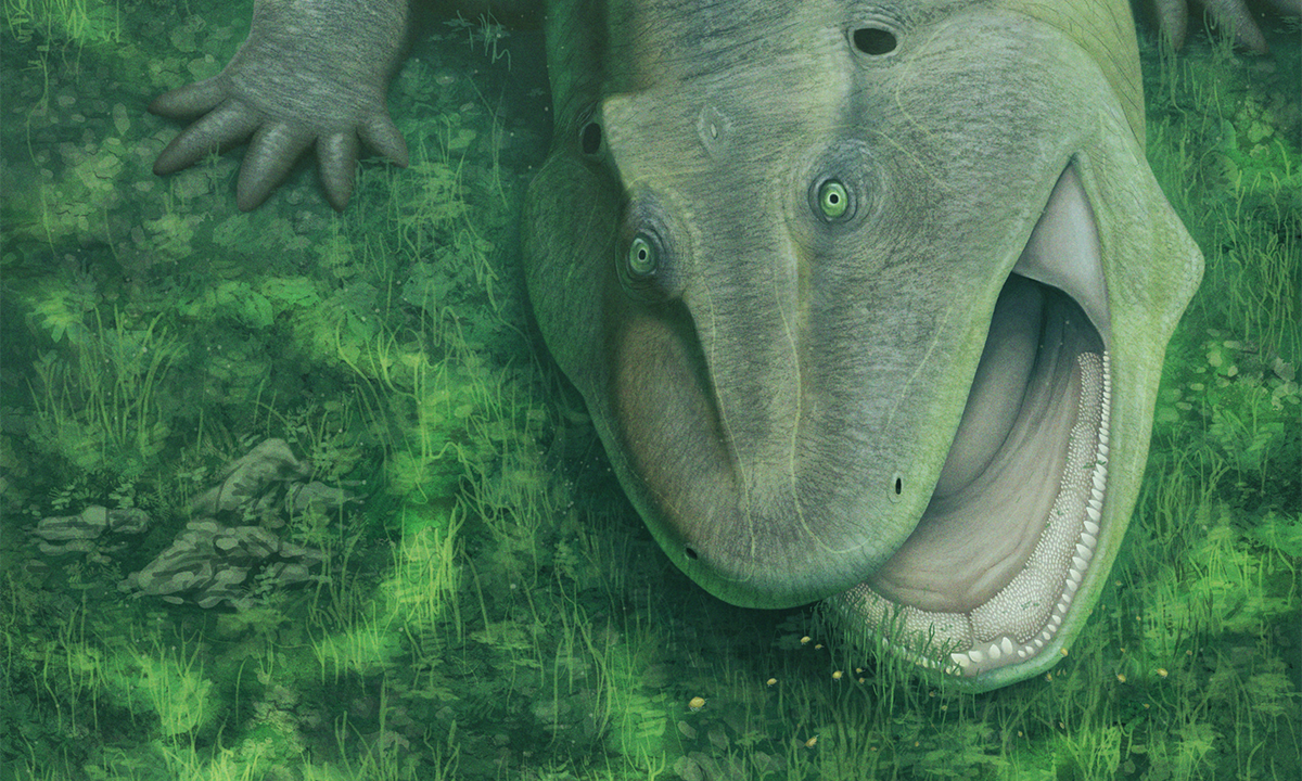Paleontologists Solve the Mystery of a Twisted Jawbone With Sideways Teeth
