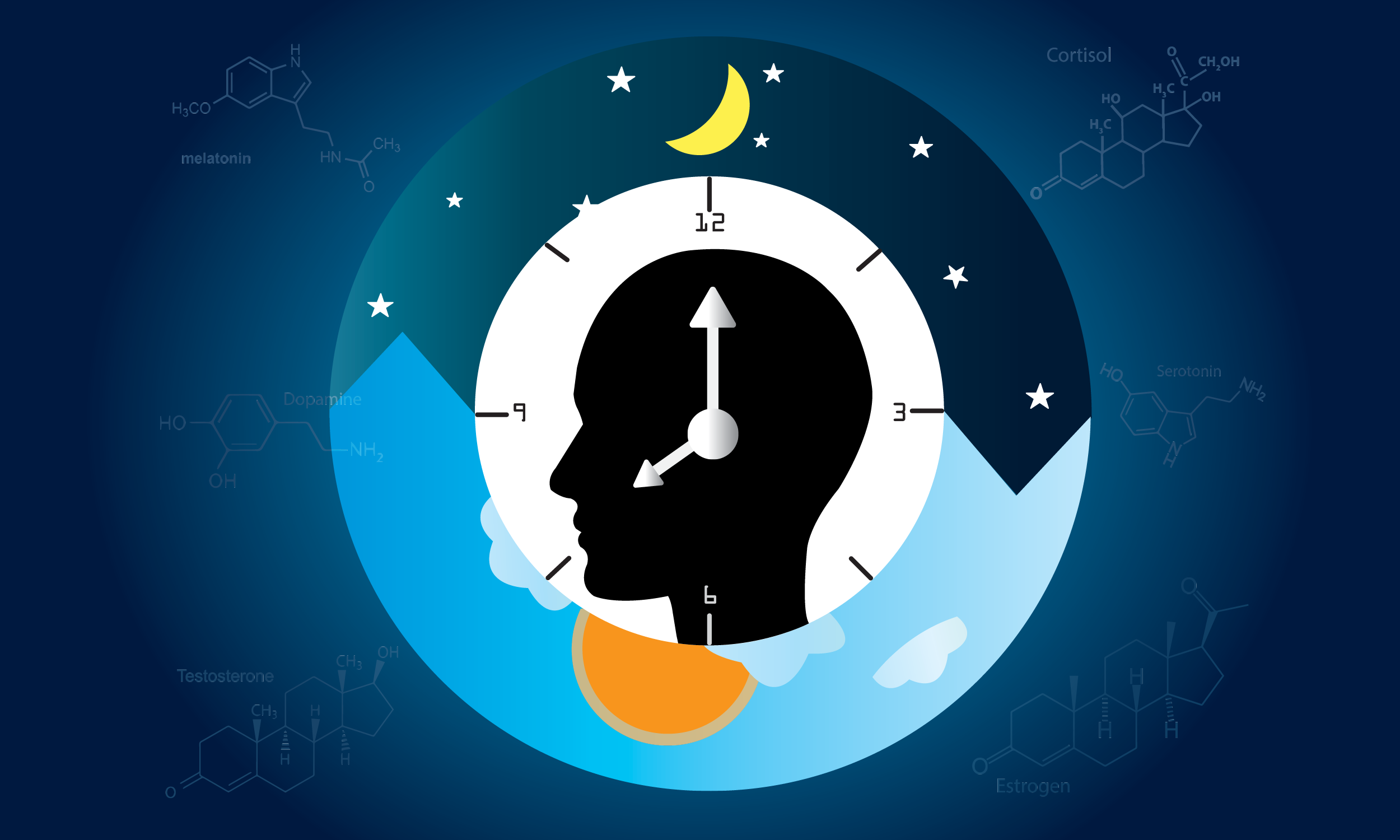 Your Biological Clock is More Complex Than You Think