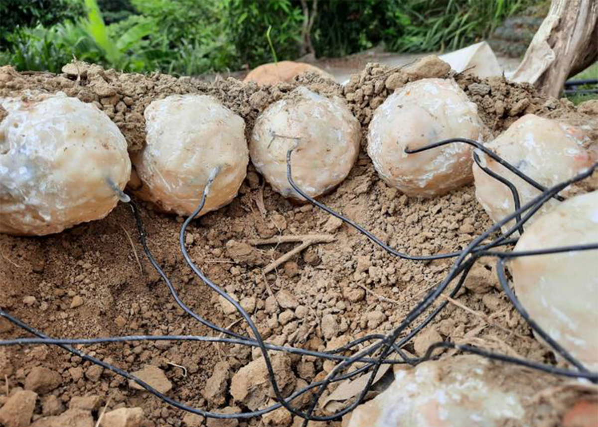 How a Simulated Dinosaur Nest Revealed Prehistoric Parenting Strategies