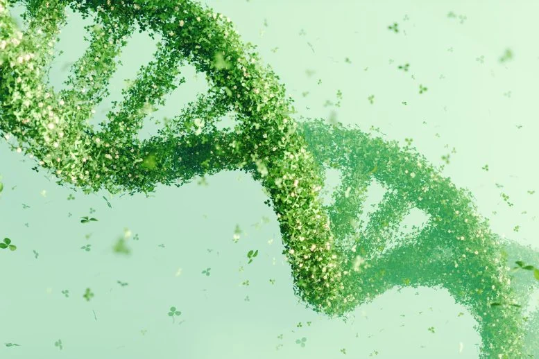 Hidden DNA in Plants Reveals a 400 Million Year Evolutionary Secret