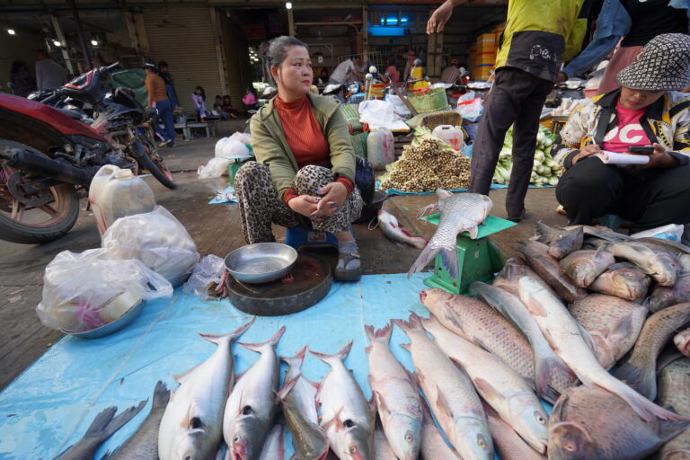 Cambodian market survey a snapshot of a resilient — but stressed — Mekong