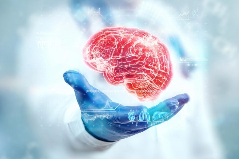 Stanford Scientists Uncover the Molecular Mistake That May Trigger Brain Aging