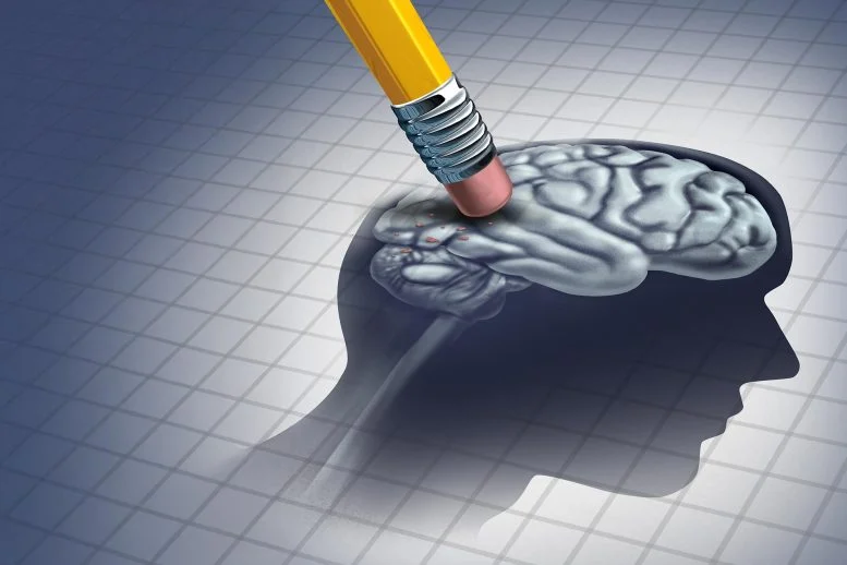 Gut Bacteria Discovery Could Change How Doctors Treat ALS and Dementia