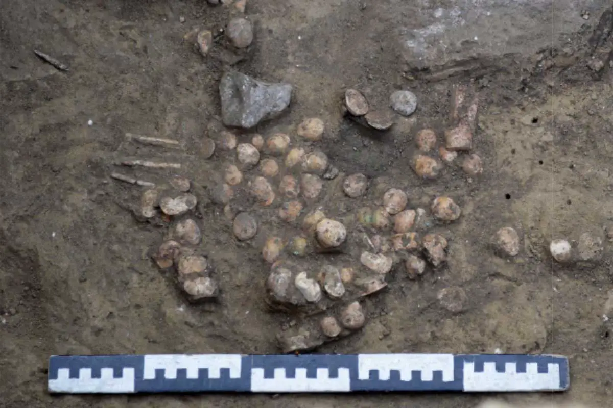 Board game that pre-dates chess discovered in ancient burial mound