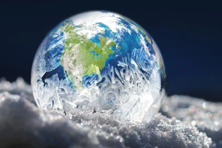 Scientists Discover Ice Age Forests in the North Sea’s Sunken “Lost World”