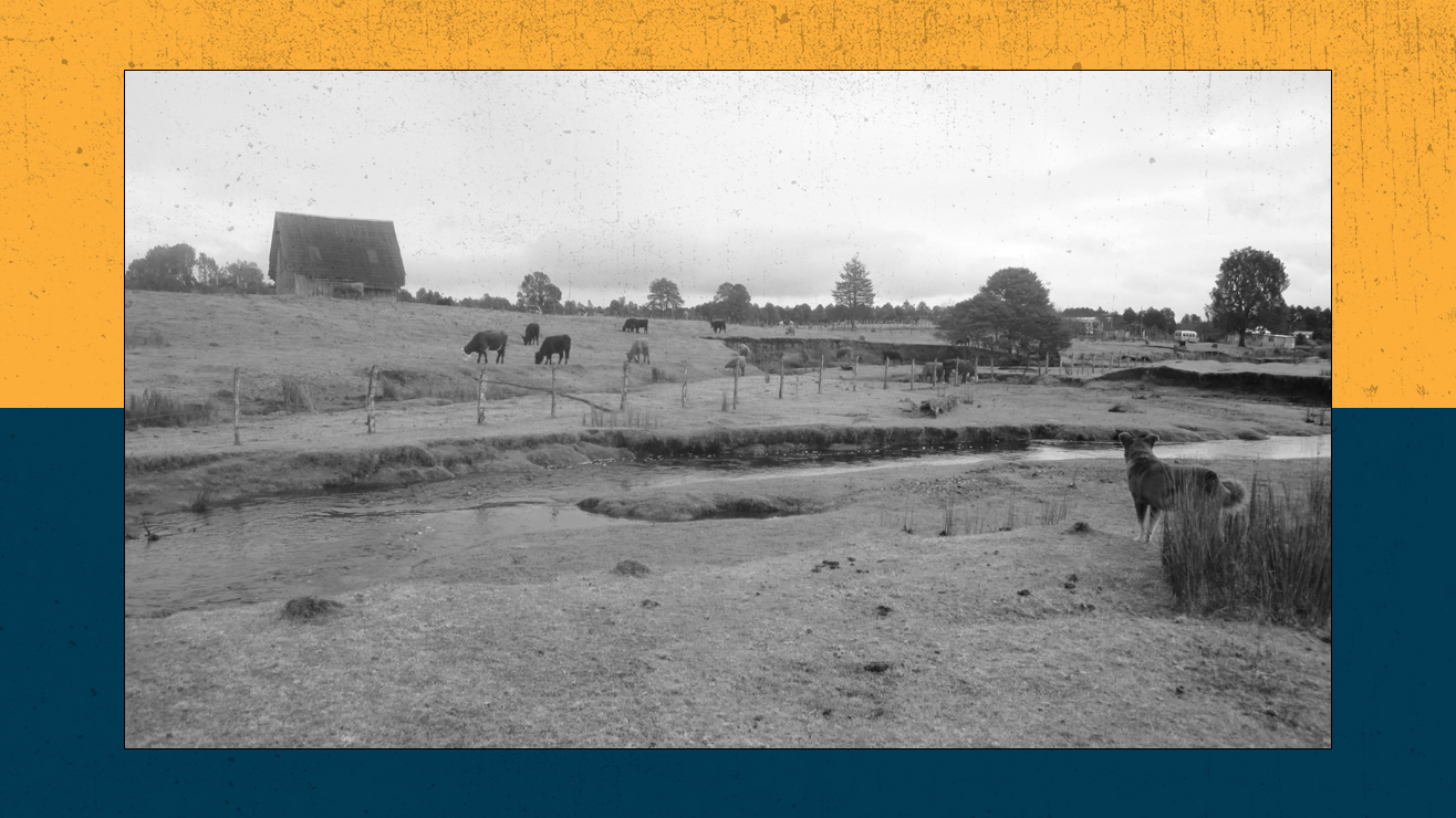 Live Science Today: Monte Verde controversy and heatwave lashes the West