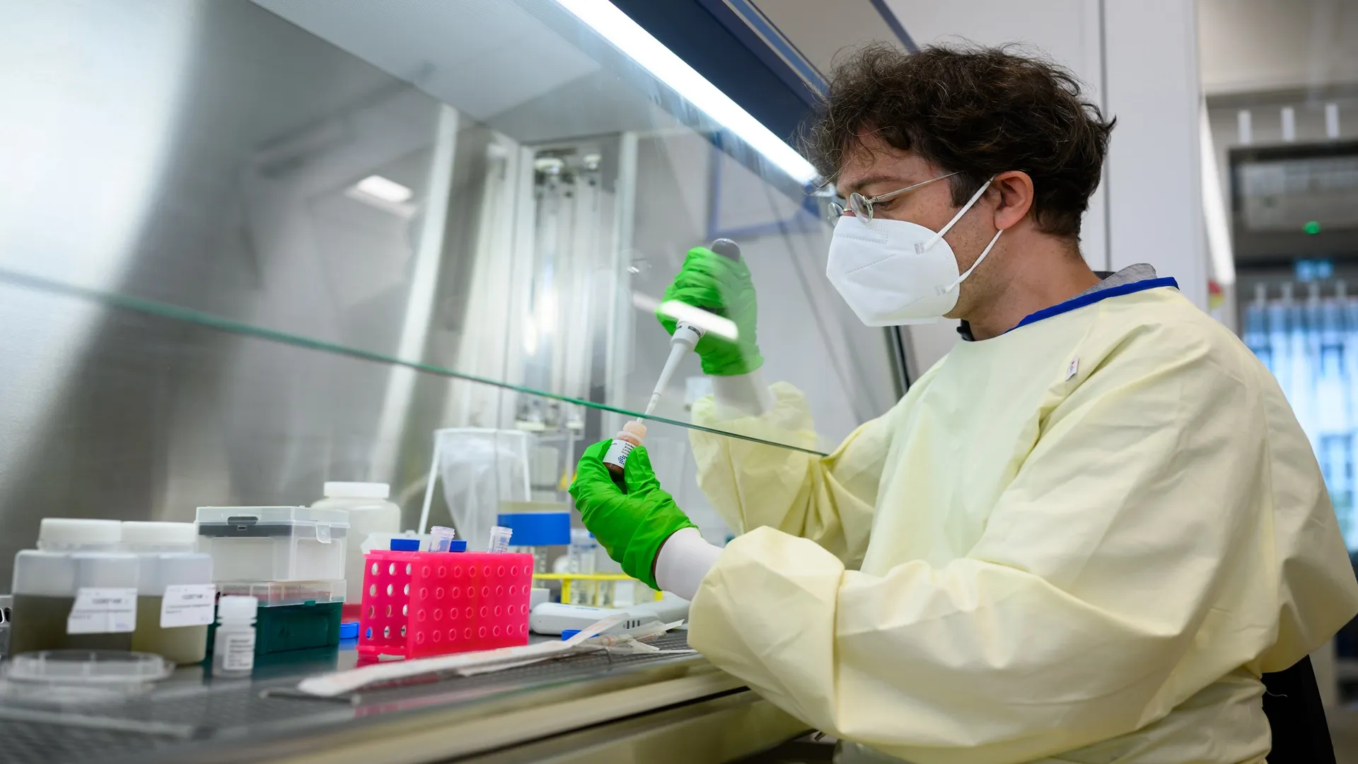 Bacteria-powered bioelectronic sensor detects chemicals in liquids