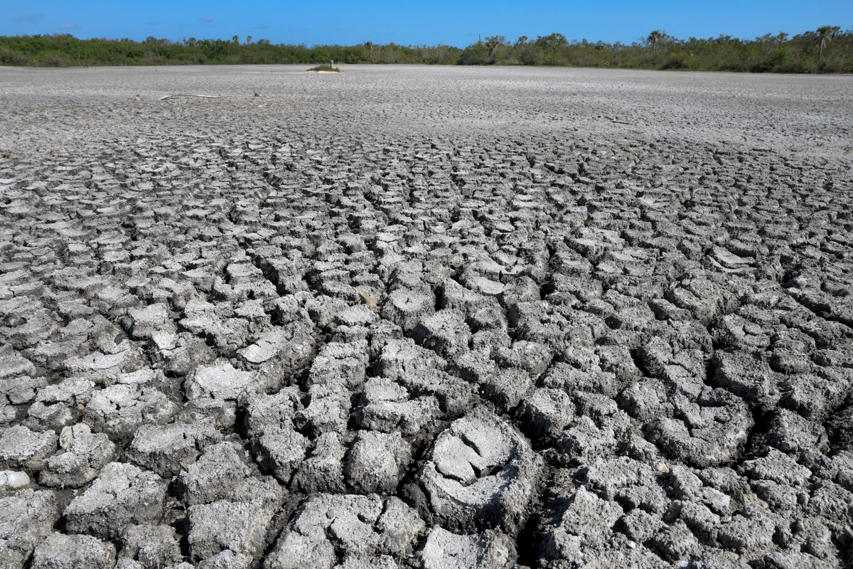 Dangerous microbes may be hiding in drought-stricken soils