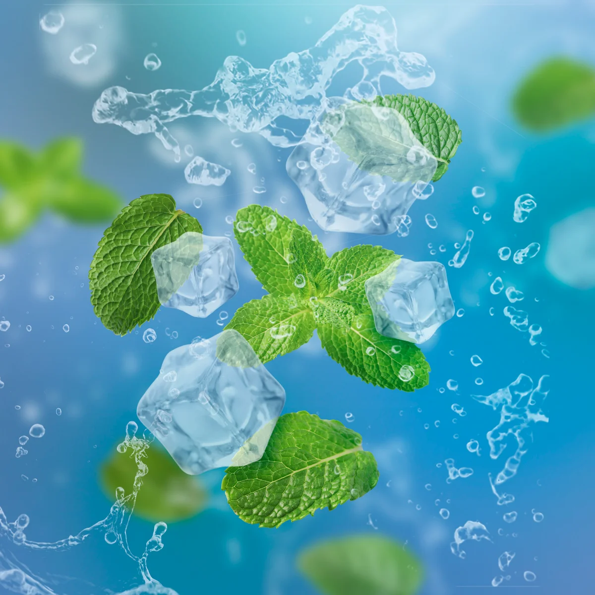 That minty fresh feeling? Scientists now know how our bodies feel cold