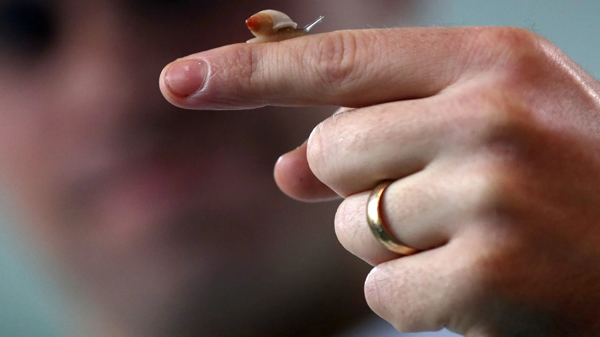 Snail-inspired robots target precise bowel cancer drug delivery