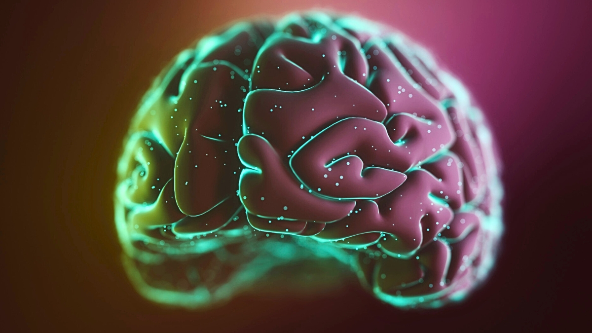 Exercise Triggers Memory-Related ‘Brain Ripples’, Study Finds : ScienceAlert