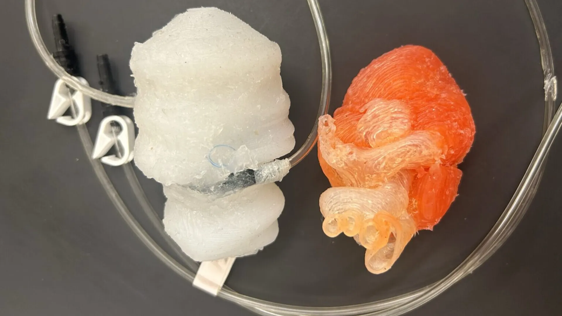 3D-printed heart with McKibben actuators for surgery simulations