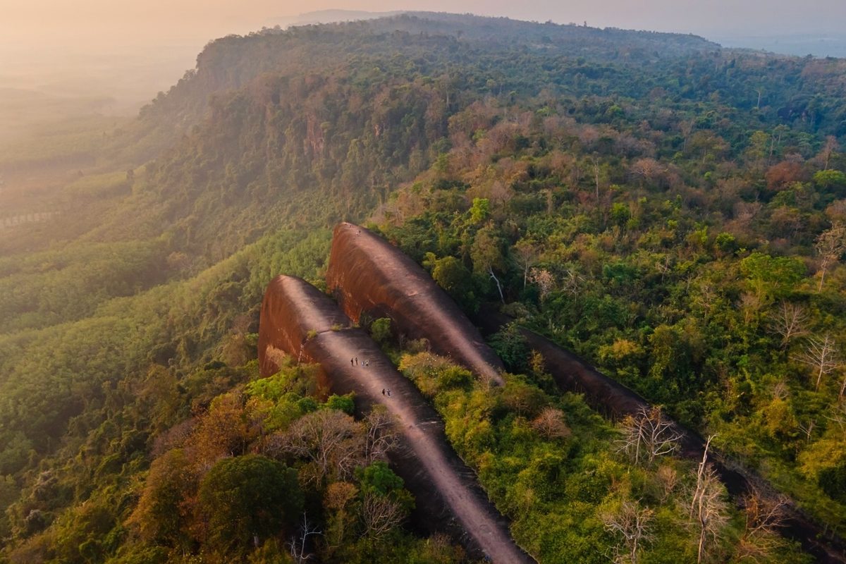 Staggering drone images show three colossal ‘whales’ rising from a forest in Thailand